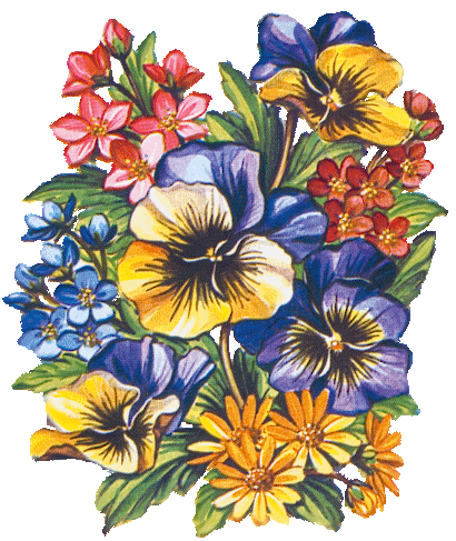 fleurs et nature (129).gif